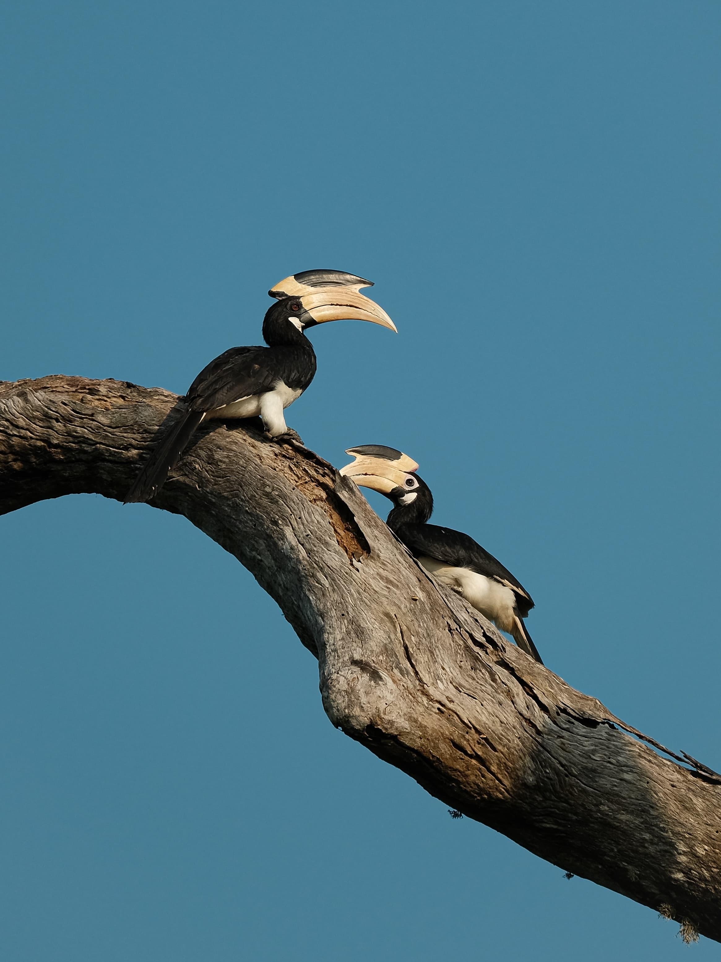 Deshan Safari Eco-Friendly Lodge Mobile - 7